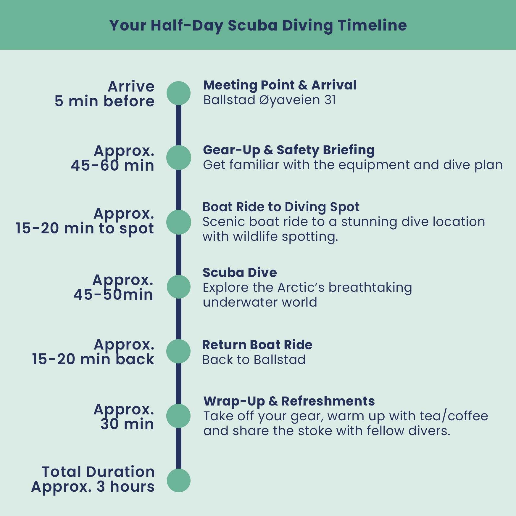 lofoten diving half day scuba diving adventure timeline